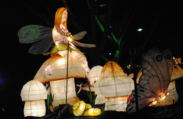 14_FairyLand2010-gallery657_Dec15193740.jpg image