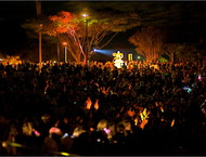 2010LPFinale_001_2-gallery554_May23223814.jpg image
