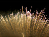 2010LPFinale_039-gallery554_May23223810.jpg image