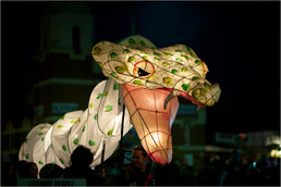 2010LanternParade_036-gallery310_May30142654.jpg image