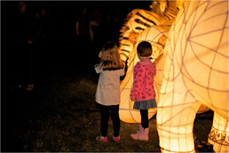 2010LanternParade_125-gallery307_May13100426.jpg image