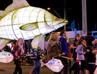 2012_LP_034-gallery532_May16171128.jpg image