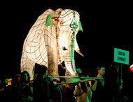 2012_LP_076-gallery532_May16171102.jpg image