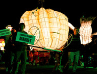 2012_LP_084-gallery532_May16171050.jpg image
