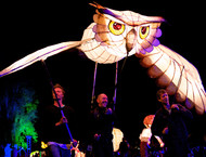 2012_LP_Owl-gallery532_May16171040.jpg image