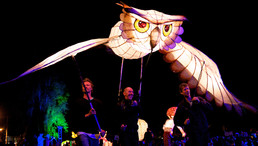 2012_LP_Owl-gallery662_Dec15200841.jpg image