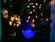2013LLP_windows_003_rt-gallery714_Mar21150207.jpg image
