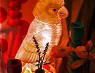 2013LLP_windows_006_rt-gallery714_Mar21150203.jpg image