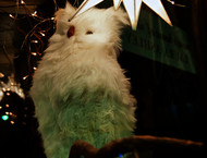 2013LLP_windows_008_rt-gallery714_Mar21150202.jpg image