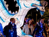 2014LLP-Natsky_080w-gallery846_Jan29084837.jpg image