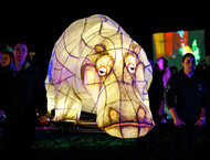 2014LLP-Natsky_140w-gallery846_Jan29085619.jpg image