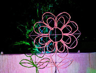 2014LLP-Natsky_152w-gallery846_Jan29085732.jpg image