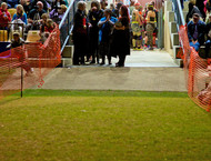 2014LLP-Natsky_153w-gallery846_Jan29085742.jpg image