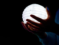 2014LLP-Natsky_208w-gallery846_Jan29090434.jpg image