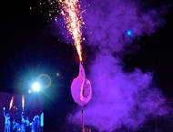 2014LLP-Natsky_219w-gallery846_Jan29090541.jpg image