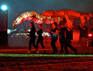 2014LLP-Natsky_225w-gallery846_Jan29090602.jpg image