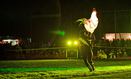 2014LLP-Natsky_261w-gallery266_Mar31183536.jpg image