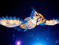 2014LLP-Natsky_270w-gallery846_Jan29090746.jpg image