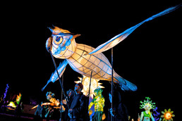 2014LLP-Natsky_274w-gallery362_May28075510.jpg image