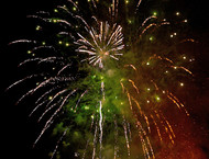 2014LLP-Natsky_312w-gallery846_Jan29091026.jpg image