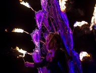 2015_FINALE_083-gallery918_Apr21195553.jpg image