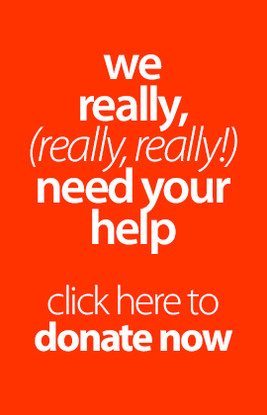donate now image