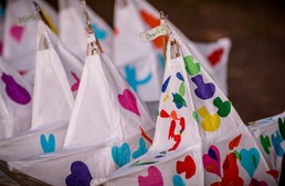 lantrern-parade-star-lanterns-website-gallery1054_Mar21201637.jpg image
